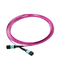 Singlemode MTP/MPO Fiber Patch Cable 12 Fiber Optic Patch Cord