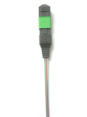 Elite Loss Fiber Optic Ribbon MPO MTP Senko SM Pigtail